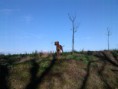 /album/fotogalerie/img-20131108-140956-jpg/